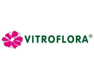 Vitroflora évelő szaporítóanyag szabadkészlet